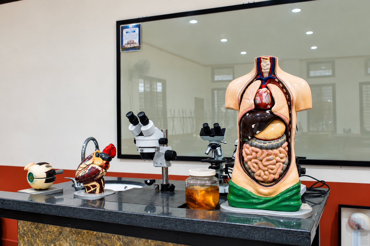 Biology Laboratory